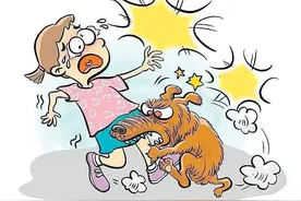 宠物狗撕咬 主人拉架被咬伤 谁该承担赔偿责任图片