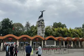 走进成都动物园：神奇动物在成都 打造城市里的“自然窗口”｜生物多样性日图片