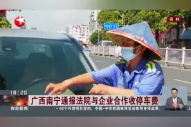 广西南宁通报法院与企业合作收停车费 涉事5人被停职检查视频封面