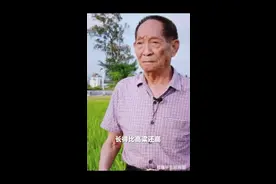 千笔楼|只要记得，就未曾离开图片