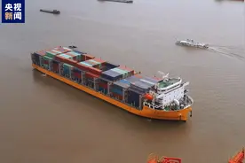 万吨海轮首次入境阳逻港！武汉“江海直航”航线又添新成员图片