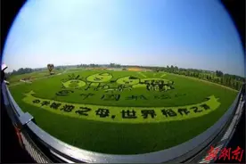 刘明专栏 | 常德味道：离情别苦，偏偏牵肠挂肚图片