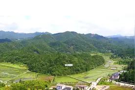 石柱县冷水镇：种植“绿叶子” 鼓起村民“钱袋子”图片