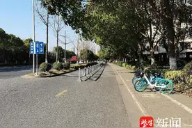 这个隔离护栏让居民出行更有安全保障图片