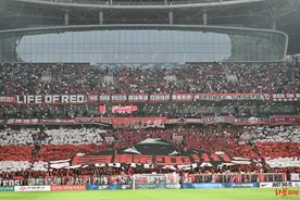 “目标亚洲”巨型Tifo再为凤凰山贡献名场面！揭秘它如何诞生图片