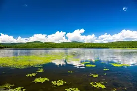 部分人群有优惠，目的地：呼伦贝尔！图片