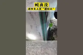 东莞塘厦：蛇出没！消防员上演“捕蛇记”图片