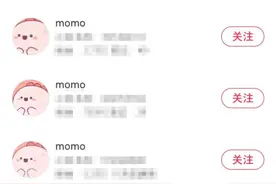 无处不在的“momo”，到底是谁？图片