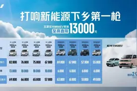 五菱宏光MINI EV官降最高1.3万元：神车失速，“下乡”问路图片