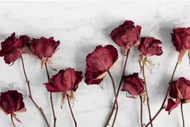 简单易上手的鲜花倒挂干燥法，自己动手试试吧→图片