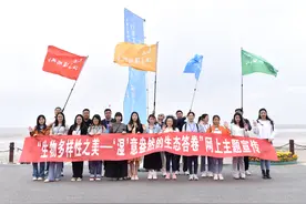 行走江苏湿地城市︱条子泥：湿地息壤，候鸟天堂图片