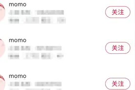 社交平台上无处不在的momo，到底是谁图片
