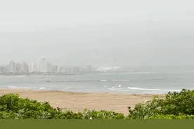 来到南非德班，讲讲乒乓运动全球化故事图片