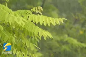 气象知识小科普：天气预报为什么不能达到100%准确？图片