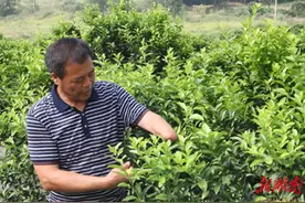 东安人陈云龙身残志坚，带领残疾人解决就业创业难题——他带着残疾人当网红图片