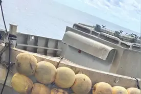 潮声丨三年存下40万元，昔日船员自述远洋“淘金”：门槛不高，但要吃得起苦图片