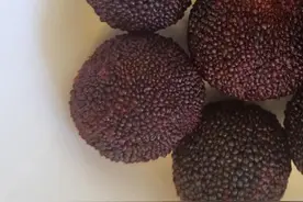 杨梅洗不干净？掉色是因染色？正确答案是……图片