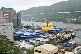 城事｜相隔十年“小黄鸭”又来香港了！图片