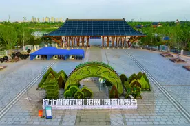 购票、交通、游览路线……这份沧州园博园“游园攻略”请收好图片