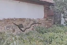 山东多地出现此物，注意防范！图片