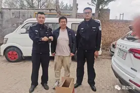 一只“北京雨燕”被救了！图片