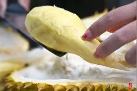 太突然！榴莲价格暴涨图片