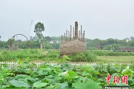 百家融媒重庆行丨牛圈变茶室、厨房变书房……重庆璧山用艺术唤醒乡村活力图片
