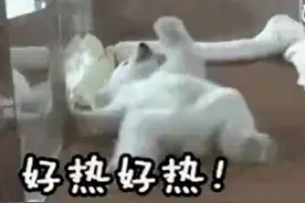 台风“玛娃”靠近，广东热到“发紫”图片