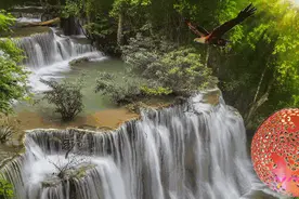 作家在线|历程：记忆中的野菜图片
