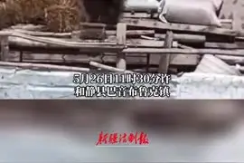 民警被棕熊狂追，后续来了图片