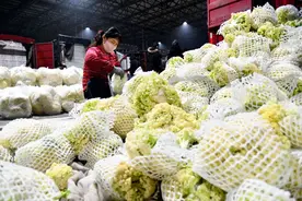 半月谈丨寿光不怕“卖菜难”图片