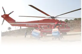 废墟中的“生命雷达”：搜救犬到底有多厉害？图片