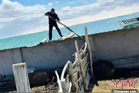 牧民家中上演现实版“熊出没”！民警紧急救援反被棕熊狂追图片