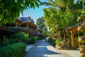 竟比云南古茶树更野？！让人流口水而且很哇塞！图片