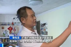 大树被蛀空，地板被吃光……广州一小区此物泛滥，住建局紧急提醒图片