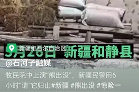 牧民家中上演现实版“熊出没”！民警救援被狂追……图片