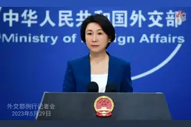 要允许俄占据部分乌领土？中方回应图片