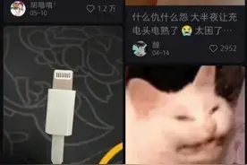 苹果手机用户注意，多人称被充电头电到甚至电伤图片