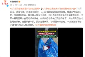 3只小奶猫被装塑料袋扔垃圾桶几近闷死，女子倒垃圾时救出图片