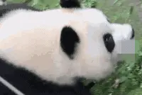 男子恶意泼水！刚刚通报：终身禁入图片