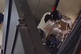 广东一保洁员为卖纸箱，把业主捡到的流浪猫当孩子面扔下10楼图片