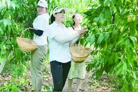 天门：长寿山原村日均接待游客过千人图片