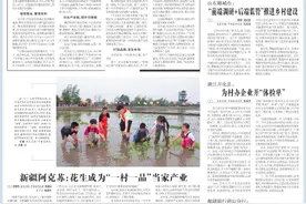央媒观豫丨河南平舆县：桑葚满枝头 振兴有盼头图片