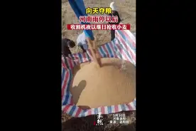 向天夺粮！河南雨停以后，收割机夜以继日抢收小麦图片