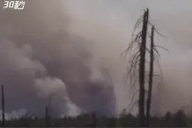 30秒｜超1.6万人撤离 加拿大新斯科舍省宣布进入紧急状态图片