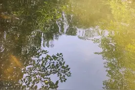 问渠哪得清如许图片