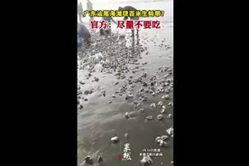 广东汕尾海滩现百米生蚝带？官方：尽量不要吃图片