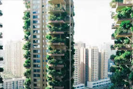 专访大运官方形象宣传片导演：舍弃剧本拍摄，感觉和成都谈了一场恋爱图片