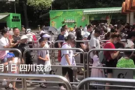 30秒｜六一儿童节成都动物园人气旺图片