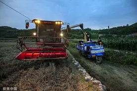 直击｜河南雨后抢收小麦，预计6月15日前后麦收基本结束图片